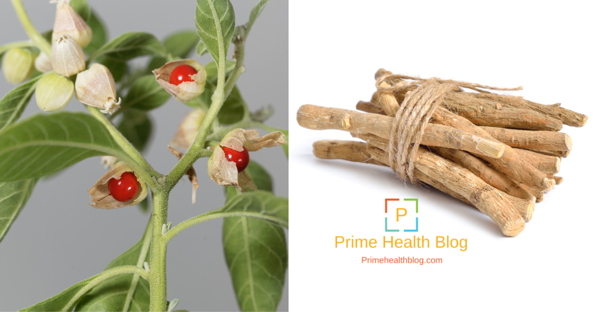 Important Benefits Of Ashwagandha In Daily Lifestyle » Prime Health Blog